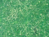 /album/fotogaleria/detail-zeleny-jpg/